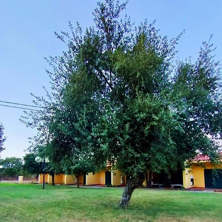 Nuraghe Ruiu Camping & Bungalow Norbello المظهر الخارجي الصورة